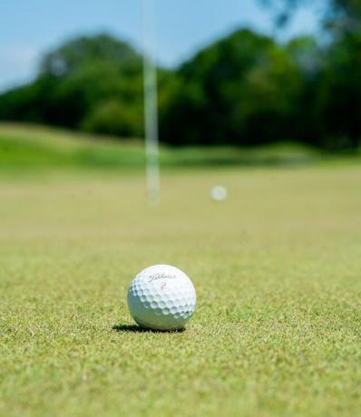 Image d'un balle de golf sur un green du Golf de Jumièges